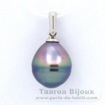 Rhodiated Sterling Silver Pendant and 1 Tahitian Pearl Ringed C 10.1 mm