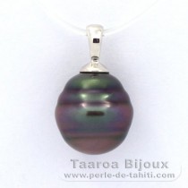 Rhodiated Sterling Silver Pendant and 1 Tahitian Pearl Ringed B 10.8 mm