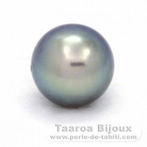 Tahitian Pearl Round C+ 11.3 mm