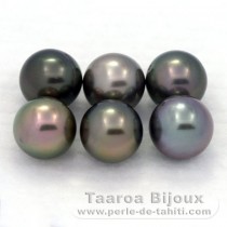 Lot of 6 Tahitian Pearls Round C from 8.2 to 8.4 mm