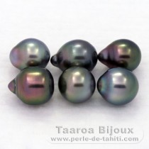 Lot of 6 Tahitian Pearls Semi-Baroque B from 7.7 to 8.3 mm