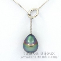 Rhodiated Sterling Silver Necklace and 1 Tahitian Pearl Ringed C+ 11.2 mm