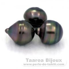 Lot of 3 Tahitian Pearls Ringed C from 12.3 to 12.4 mm