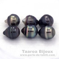 Lot of 6 Tahitian Pearls Ringed C from 8.5 to 8.7 mm