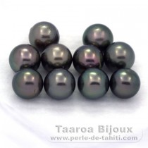 Lot of 10 Tahitian Pearls Round C from 8.5 to 8.9 mm