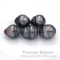 Lot of 5 Tahitian Pearls Ringed C from 8.5 to 8.8 mm