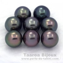 Lot of 8 Tahitian Pearls Round C from 9 to 9.3 mm