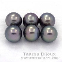 Lot of 6 Tahitian Pearls Round C from 8.5 to 8.9 mm
