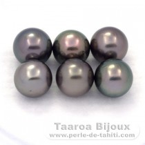 Lot of 6 Tahitian Pearls Round C from 9 to 9.3 mm