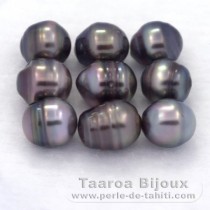 Lot of 9 Tahitian Pearls Ringed C from 8 to 8.4 mm