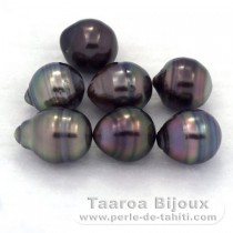 Lot of 7 Tahitian Pearls Ringed C from 8 to 8.3 mm