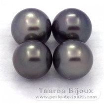 Lot of 4 Tahitian Pearls Round C from 9 to 9.3 mm