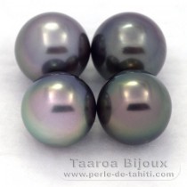 Lot of 4 Tahitian Pearls Round C from 9.1 to 9.4 mm