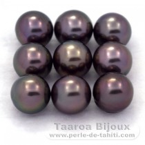 Lot of 9 Tahitian Pearls Round C from 8.5 to 8.8 mm