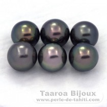 Lot of 6 Tahitian Pearls Round C from 8.5 to 8.9 mm