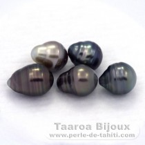 Lot of 5 Tahitian Pearls Ringed C from 9.5 to 9.6 mm