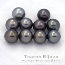 Lot of 10 Tahitian Pearls Round C from 8.5 to 8.9 mm