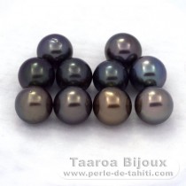 Lot of 10 Tahitian Pearls Round C from 8 to 8.3 mm