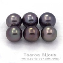 Lot of 6 Tahitian Pearls Round C from 8 to 8.3 mm