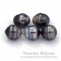 Lot of 5 Tahitian Pearls Ringed C from 9.5 to 10 mm