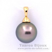 18K solid Gold Pendant and 1 Tahitian Pearl Round A 11 mm