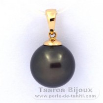 18K solid Gold Pendant and 1 Tahitian Pearl Round B 11 mm