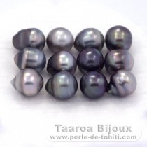 Lot of 12 Tahitian Pearls Ringed C/D from 8 to 8.4 mm