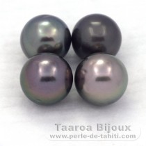 Lot of 4 Tahitian Pearls Round D from 9 to 9.4 mm
