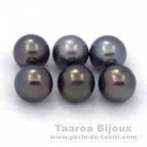 Lot of 6 Tahitian Pearls Round C from 8.5 to 8.8 mm