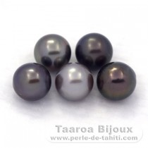 Lot of 5 Tahitian Pearls Round C from 8.7 to 8.9 mm