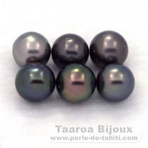 Lot of 6 Tahitian Pearls Round D from 8.1 to 8.4 mm