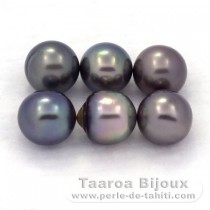 Lot of 6 Tahitian Pearls Semi-Baroque C from 8.7 to 8.9 mm