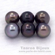 Lot of 6 Tahitian Pearls Semi-Baroque C/D from 8 to 8.4 mm