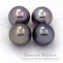 Lot of 4 Tahitian Pearls Round C from 8.1 to 8.4 mm