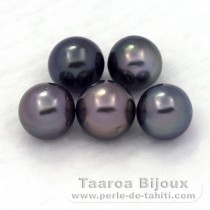 Lot of 5 Tahitian Pearls Round D from 8 to 8.4 mm