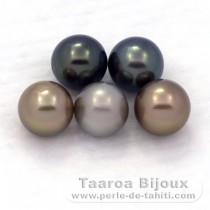 Lot of 5 Tahitian Pearls Round C from 8.1 to 8.4 mm
