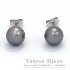 Rhodiated Sterling Silver Earrings and 2 Tahitian Pearls Round B/C 8.3 mm