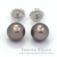 Rhodiated Sterling Silver Earrings and 2 Tahitian Pearls Round C 8.4 mm