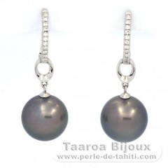 Rhodiated Sterling Silver Earrings and 2 Tahitian Pearls Round B/C 11.3 mm