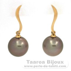 18K solid Gold Earrings and 2 Tahitian Pearls Round B 10.3 and 10.4 mm