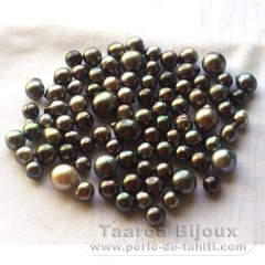 Lot of 87 Tahitian Pearls Semi-Baroque C/D from 8 to 12.5 mm