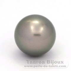 Tahitian Pearl Round B/C 14.8 mm