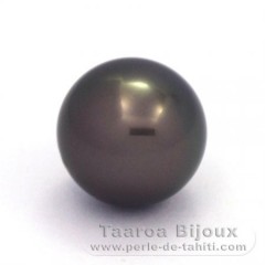 Tahitian Pearl Round B 14.4 mm