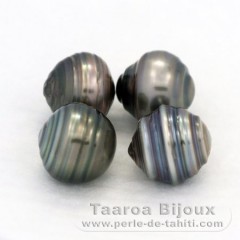 Lot of 4 Tahitian Pearls Ringed C from 9.5 to 9.6 mm