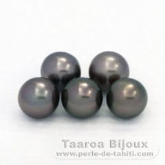 Lot of 5 Tahitian Pearls Round C from 8.9 to 9 mm