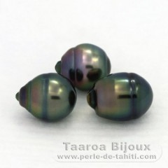 Lot of 3 Tahitian Pearls Ringed B 10 mm