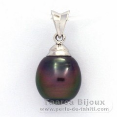 Rhodiated Sterling Silver Pendant and 1 Tahitian Pearl Ringed B 10.1 mm