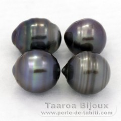 Lot of 4 Tahitian Pearls Ringed C/D from 9.5 to 9.8 mm