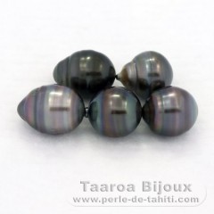 Lot of 5 Tahitian Pearls Ringed C/D from 9.4 to 9.6 mm