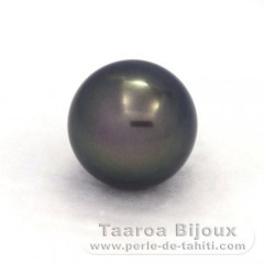 Tahitian Pearl Round B 12.7 mm